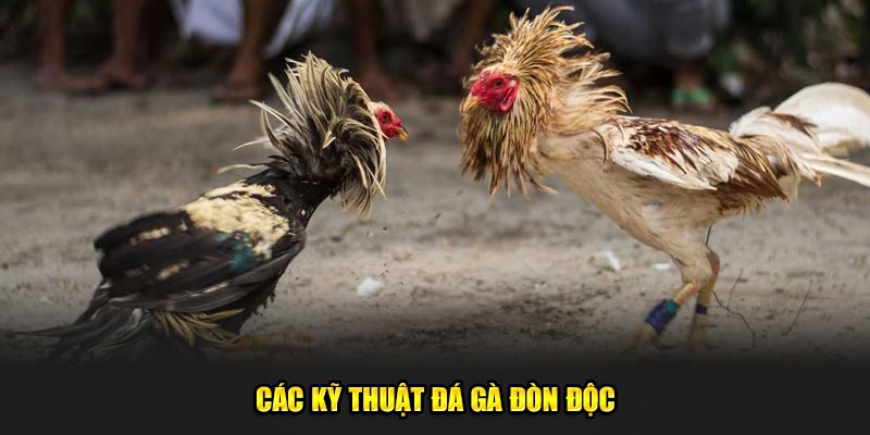 Cac-Ky-Thuat-Da-Ga-Don-Doc