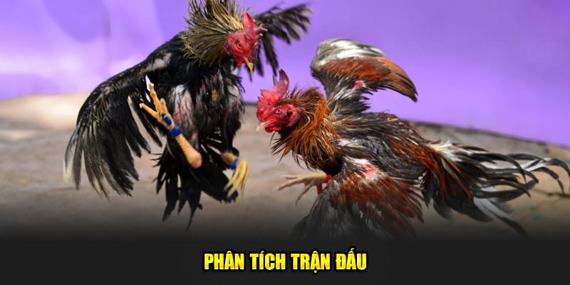 Phan-Tich-Tran-Dau