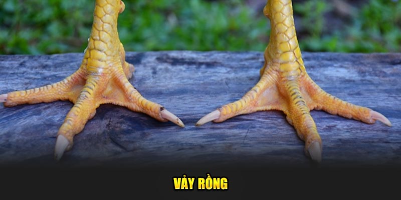 Vay-rong